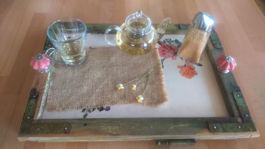 Guest House Eco Vila Mila روغاسكا سْلاتِنا المظهر الخارجي الصورة